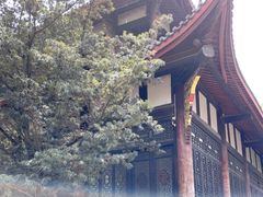 -古大圣慈寺