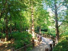 -国家植物园南园