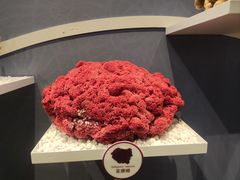 -中国湿地博物馆