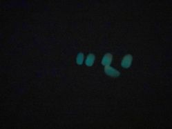 -Beauty Nails 美甲美睫皮肤管理