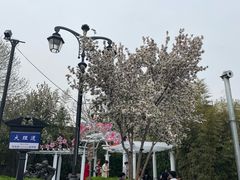 -天津五大道文化旅游区