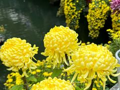 -杭州植物园