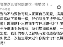 -猫在这儿猫咪咖啡馆·撸猫馆