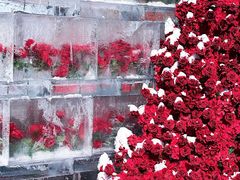 -万达广场(龙湖店)