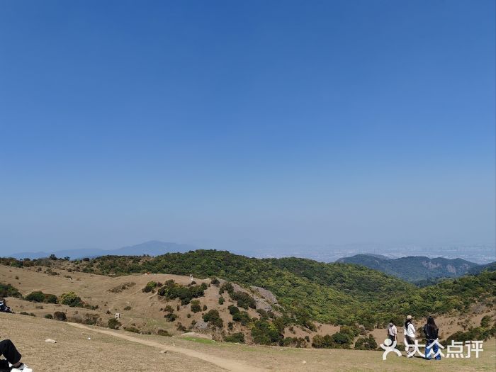 大姆山草场图片