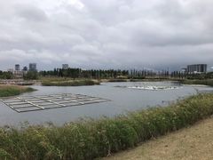 -鹦鹉洲湿地公园