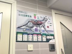 -芭比堂动物医院·心脏专科·夜诊·吉雅分院
