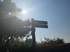 -芒洲湿地公园