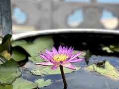 -三亚南山文化旅游区