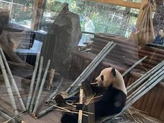 -云南野生动物园