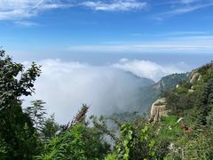 -泰山风景名胜区