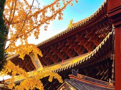 -常熟方塔园