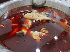 -云溪河冷锅鱼(成都玉林小吃街店)