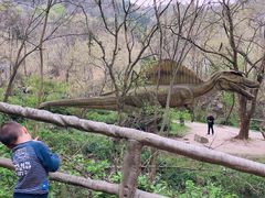 -木兰云雾山