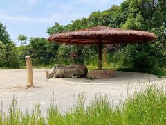 -宁波野生动物园