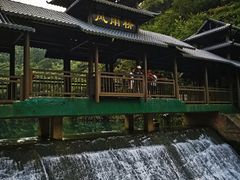 -鼎湖山风景区