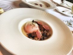 -蝶舍·MAISON PAPILLON