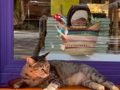 -恋物百货商店(华侨城店)