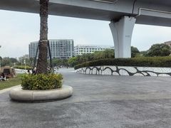 -宝安西湾红树林湿地公园