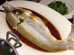 -醉庐·新上海菜(南京西路店)
