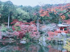 -醍醐寺