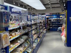 -animate(北京店)