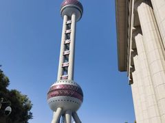 -上海大自然野生昆虫馆(东方明珠·爬宠昆虫探索中心)