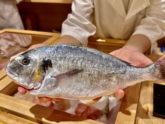 -镹·鱼料理  国产鱼使用店