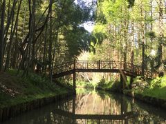 -同里国家湿地公园