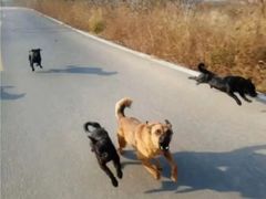 -足传奇足浴SPA(科技城店)