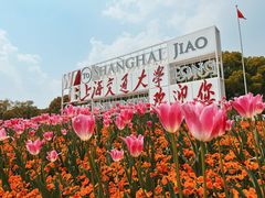 -上海交通大学(闵行校区)