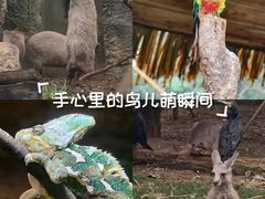 -南昌动物园