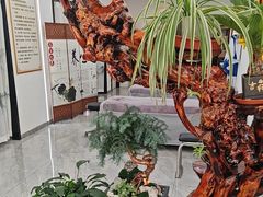 -正沅堂正骨推拿·功效养生(总店)