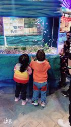 -酷嗒动物文化乐园(cutezoo西溪乐天城店)