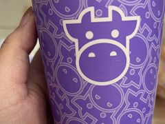 -一只酸奶牛(春熙路店)