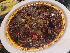 -情妹耙泥鳅·江湖川菜(科华店)