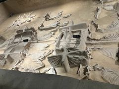 -洛阳周王城天子驾六博物馆