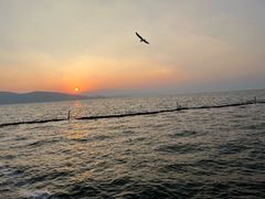-大理洱海
