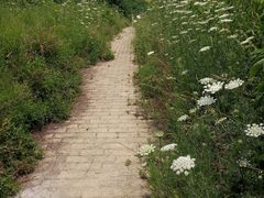 -汉长安城未央宫国家考古遗址公园