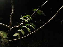 -汤里来温泉