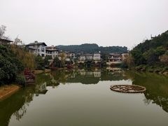 -铁山坪森林公园