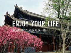 -碑林公园