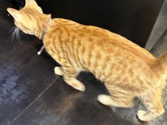 -箪食记(汉口路店)