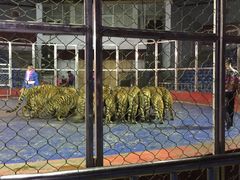 -西安秦岭野生动物园