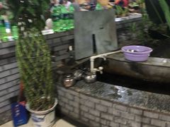 -夏家大锅台炖鱼馆