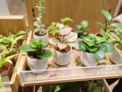 -MUJI无印良品(环球港店)