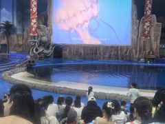 -华夏文旅海洋公园