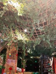 -奇幻丛林(佛罗伦萨小镇店)