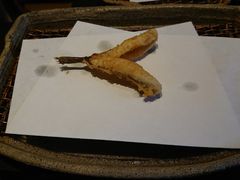 辫子鱼-みかわ是山居