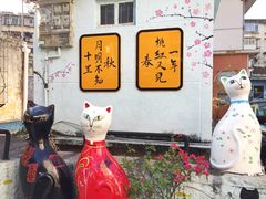 -猫咪博物馆(顶澳仔猫街店)